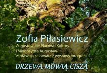 Drzewa mówią ciszą