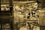 Black and white photo showing the canoeists entering the Gorczyca lock on the Augustów Canal, photo: J. Koniecko